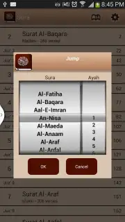 Quran Karim скриншот 6