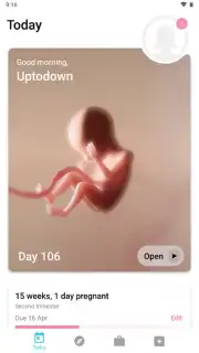 Pregnancy + скриншот 1