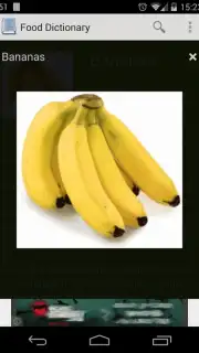 Food Dictionary скриншот 2