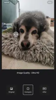 Wink скриншот 1