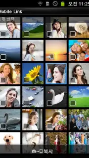 MobileLink скриншот 3