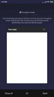 Mint Browser скриншот 6