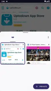 Tor Browser скриншот 26