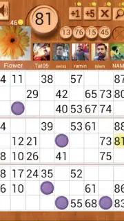 Loto Online скриншот 2