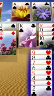 Solitaire 3D скриншот 3