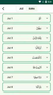Quran Majeed скриншот 1