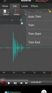 WavePad скриншот 4