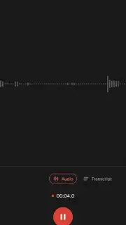 Google Recorder скриншот 4
