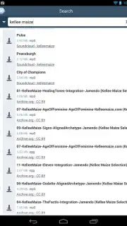 FrostWire скриншот 3