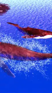 The Humpback Whales скриншот 6