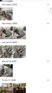 Google Photos скриншот 8