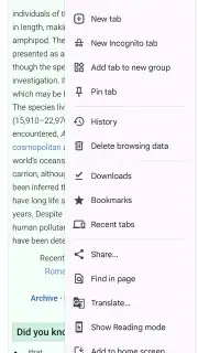 Chrome Beta скриншот 1