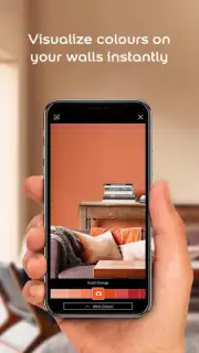 Dulux Visualizer IN скриншот 5