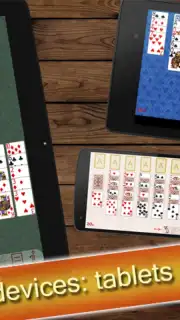 Solitaire Collection скриншот 11