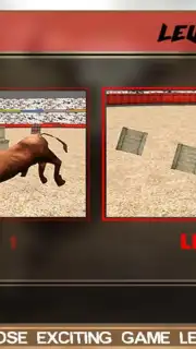 Angry Bull Attack Arena Sim 3D скриншот 1
