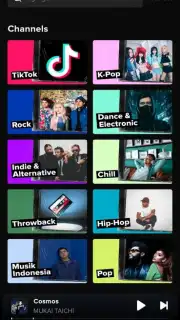 TikTok Music скриншот 3