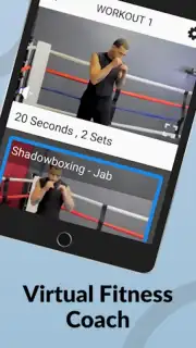 Ultimate MMA Fighting Program скриншот 3