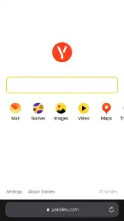 Yandex Browser (alpha) скриншот 14