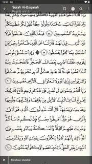 Quran Android скриншот 4