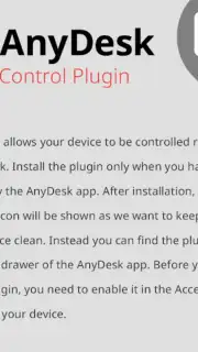 AnyDesk plugin ad1 скриншот 8