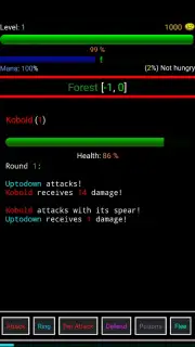 Random Adventure Roguelike скриншот 9