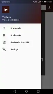 VidCatch скриншот 5