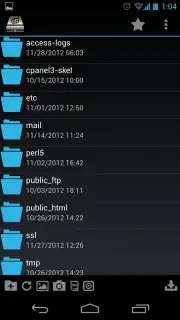 cPWebDisk скриншот 5