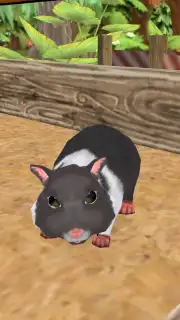PetHotel - My animal boarding скриншот 3