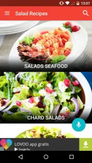Salad Recipes FREE скриншот 5