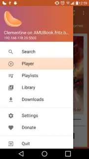 Clementine Remote скриншот 6