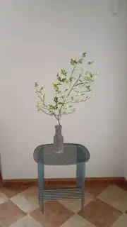Homestyler скриншот 3