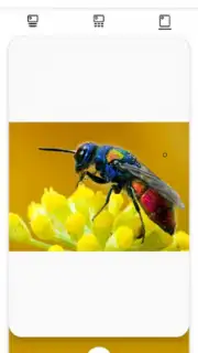 Color Palette скриншот 5