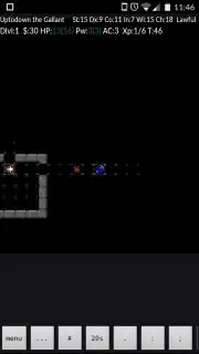 NetHack скриншот 9