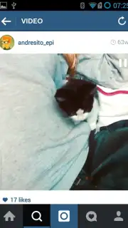 OGInsta+ скриншот 1