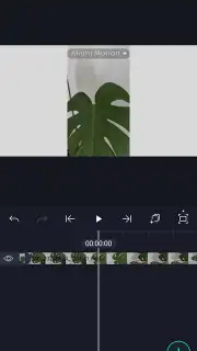 Alight Motion скриншот 7