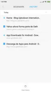 Mint Browser скриншот 11