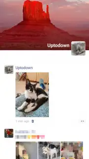 WeChat скриншот 17