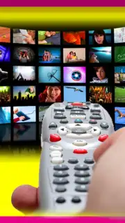 Universal Remote Control TV Pro скриншот 1