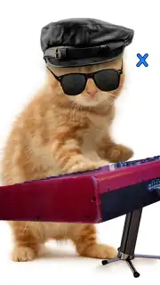 Talking, Dancing Cat. скриншот 7