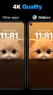 Wallpics скриншот 7