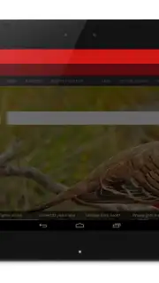 Anonymous Browser скриншот 4