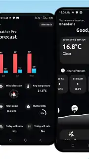 Weather Pro скриншот 1