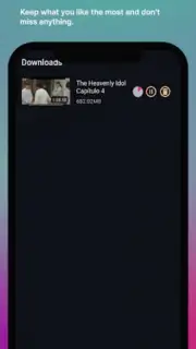 Fastplayer скриншот 4
