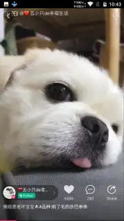 Meipai скриншот 2