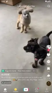 TikTok Pro скриншот 1