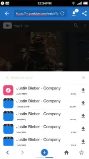 Swift - Music Downloader скриншот 10
