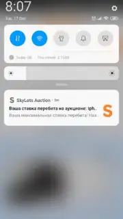 SkyLots: аукцион и маркетплейс скриншот 1
