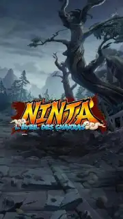 Ninja скриншот 1
