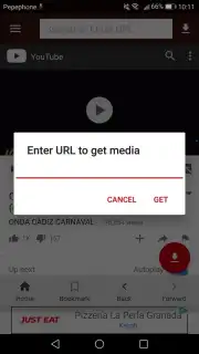 VidCatch скриншот 2
