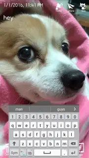 Secret Notes2 скриншот 4